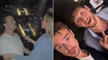 Heartbreaking video Liam Payne singing &amp; dancing at Niall Horan&#39;s concert days before he passed away