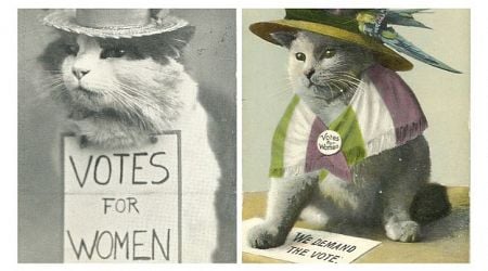 Cat memes went viral 100 years ago