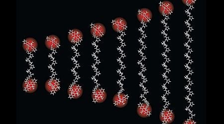 Tiniest 'ruler' ever measures distances as small as an atom's width