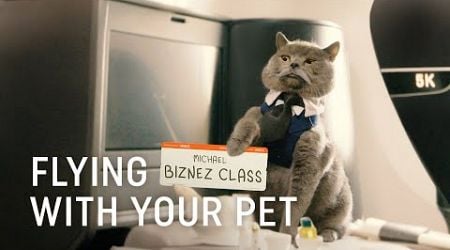 Flying with Your Pet - Turkish Airlines