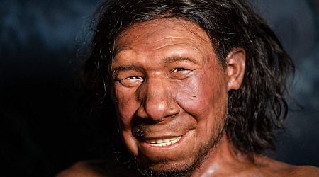 Human Origins Look Ever More Tangled with Gene and Fossil Discoveries