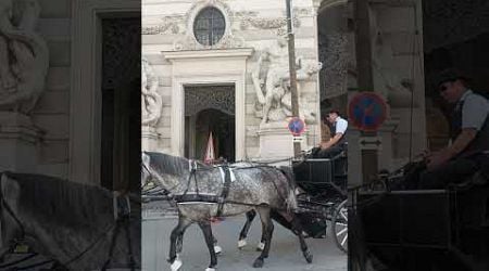 Horse cart in Czech Republic