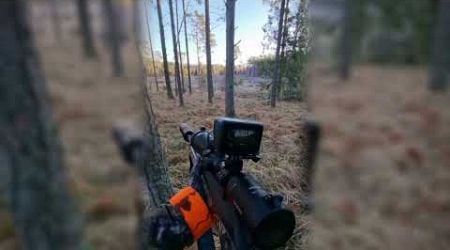 Red Deer Driven Hunt In Estonia (Punahirv Ajajaht) w/ Mario Traks V467