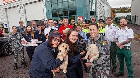 Autism Assistance Dogs Ireland welcomes National Services for First Responders litter send-off