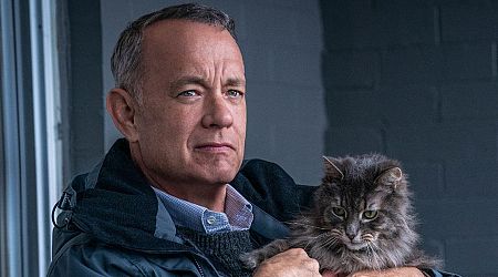 Netflix fans left bawling over new Tom Hanks movie that's 'wrongly billed' as a comedy