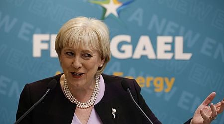 Heather Humphreys: long-serving TD was Cabinet mainstay through Fine Gael years in government