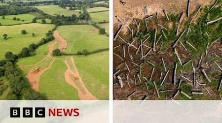 What happens when you set a river free? | BBC News