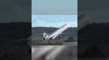 Split scrape save! (MD-82 near tail scrape in Croatia)