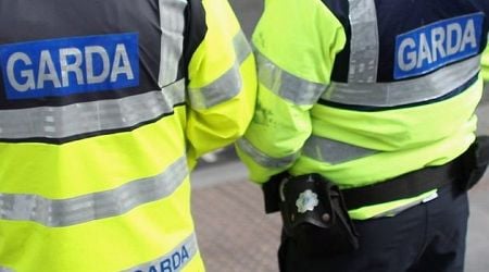 Pedestrian (20s) seriously injured following crash with van in Dublin