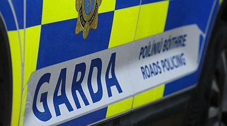 Pedestrian (20s) seriously injured in Dublin hit-and-run as gardai issue appeal