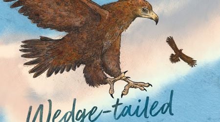 Review: Wedge-tailed Eagle