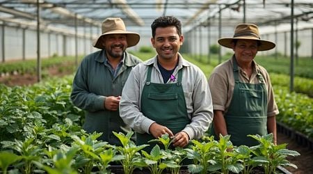 Who Will Harvest The Broccoli? The Modern American Plantation