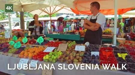 Explore Slovenia&#39;s Streets,Markets &amp; Landmarks|Ljubljana Slovenia 4K Walking Tour | UHD 60fps