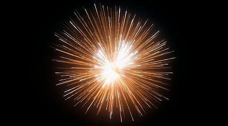 Garda appeal for public to never set off fireworks near animals