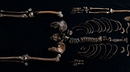 This Skeleton Is The First Person Ever Found From a Norse Saga