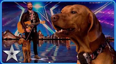 SINGING DOG performs cover of Summer of &#39;69 | Unforgettable Audition | Britain&#39;s Got Talent