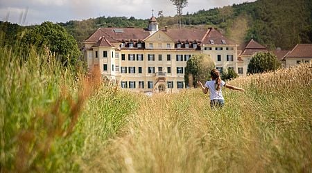 Experience royalty: The most magnificent castles in Hungary for your next getaway!