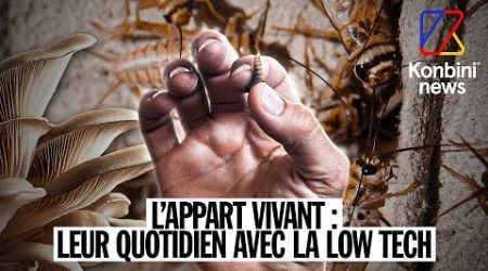 Appart&#39; &quot;vivant&quot; : leur quotidien dans 28m2 avec la low tech | Reportage