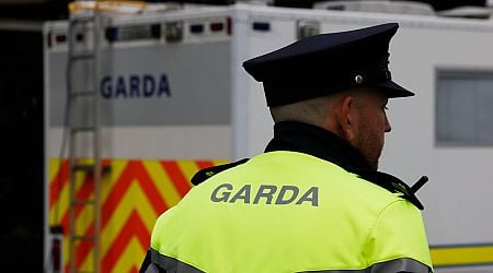 Man dies from assault injuries at house in Lucan, Co Dublin