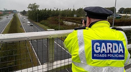 Garda road operation: Driver who overturned car on M7 had no driving licence, tested positive for drugs