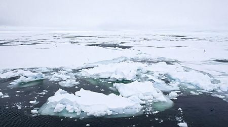 Melting Arctic sea-ice could affect global ocean circulation, study warns