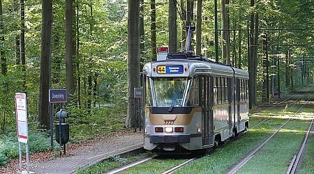 Stib begins annual battle against leaves on tram tracks