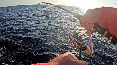 BIG FISCH on Light Tackle: Shore Jigging in CROATIA