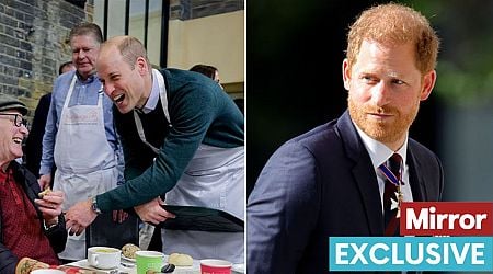 Prince Harry 'blinded by sour grapes' as Prince William's ITV show 'proves him wrong'