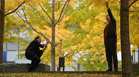 Why a ban on Halloween celebrations has swept across China with trick-or-treating and parties cancelled