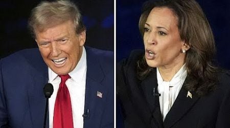 Trump or Harris? MEP surrogates take sides