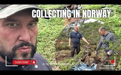 Collecting in Norway Bonsai Dream