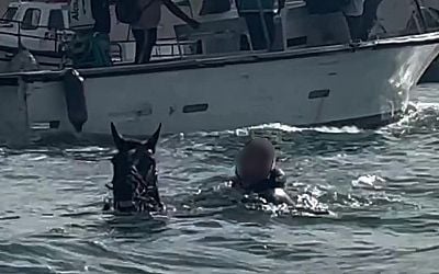 British holidaymaker's strange sight' as man rides swimming horse in sea next to boat