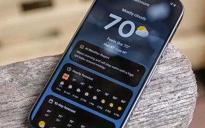 Pixel Weather can now warn you about bad pollen days