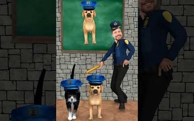 Police cat vs police dog? Which animal do you choose more? #shorts #dog