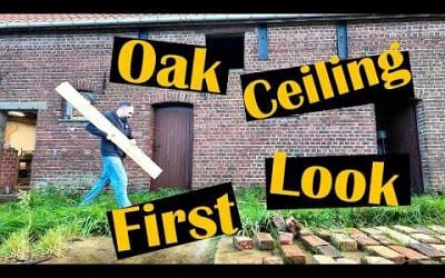 Temporary OAK CEILING SETUP: See how it looks! / Renovating a 110+ y.o. ABANDONED farm in Belgium