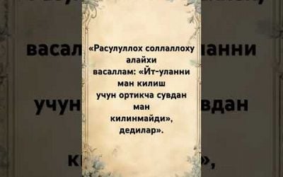 #poetry #love #quotes #motivation #sad #sevgi #uzbekistan #baxt #rek #instagram