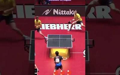 Sweden vs Japan #worldtabletennis #pingpong #tabletennisplayer #tabletennis #sports #tenismeja