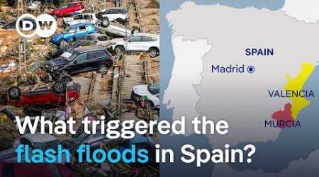 Flash floods in Spain: Muddy torrents sweeping away cars as huge storms hit | DW News