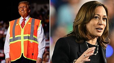 Kamala Harris taunts Donald Trump at US election rally as crowd chants 'lock him up'