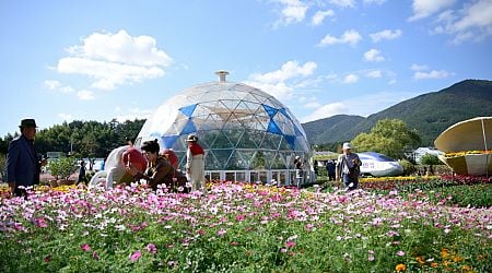 [Travel Bits] Festivals, sights across Korea