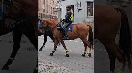 &quot;Horseback police patrol Sweden&quot; #shorts #video