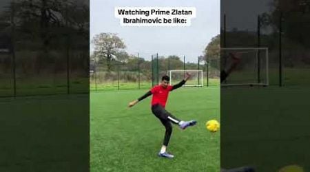 Subscribe for more skits, #zlatanibrahimovic #lion #sweden