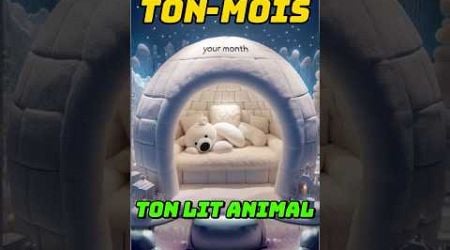 Ton mois ton lit animal! #tonmois #lit #chambre #yourmonth #yourmonthyourth #france #jeux #trending