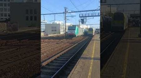 Funny traxx train horn station Antwerpen Berchem #trainspotting #train