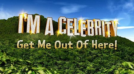 I'm A Celebrity line-up: Irish sporting hero set to enter the jungle after Ally McCoist U-turn