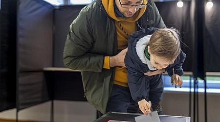 Lithuanians vote in the final round of parliamentary election