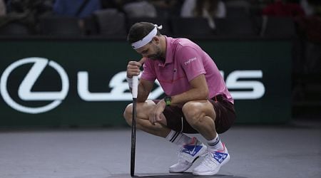 Tennis Player Dimitrov Suffers Defeat at Paris Masters QF