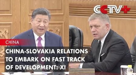 China-Slovakia Relations to Embark on Fast Track of Development: Xi