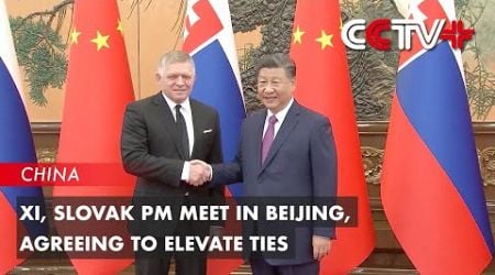 Xi, Slovak PM Meet in Beijing, Agreeing to Elevate Ties