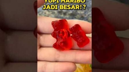 KOK BISA YUPI HARIBO JADI JUMBO BGT !!??